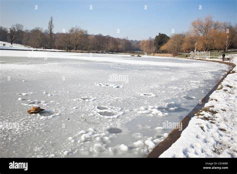 Personne pêchant sur la glace d'un étang gelé avec des équipements de pêche