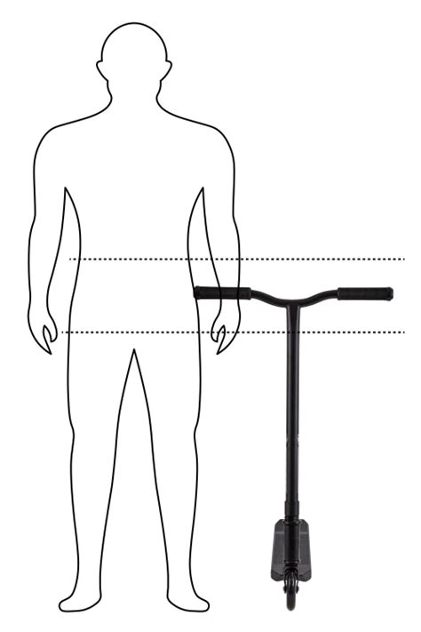 Illustration montrant la bonne hauteur de guidon pour une trottinette freestyle