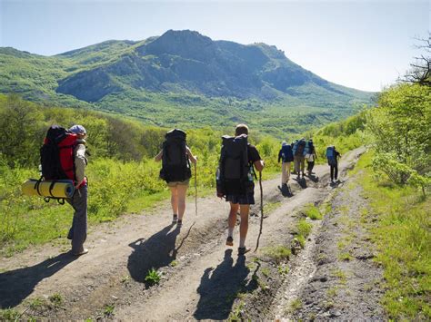 Groupe de personnes faisant une randonnée en quad dans une forêt
