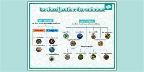 Schéma illustrant la classification des poèmes par nombre de lettres.