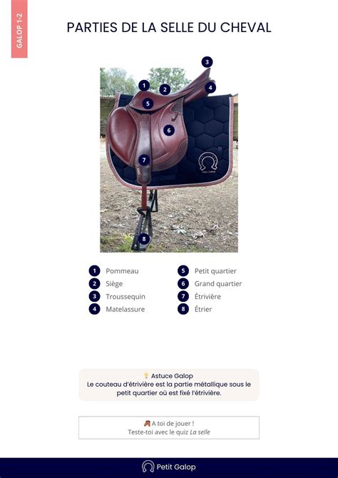 Schéma illustrant les points de fixation d'une selle simple pour le retrait.