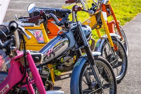 Illustration d'une sélection variée de scooters et mobylettes d'occasion.