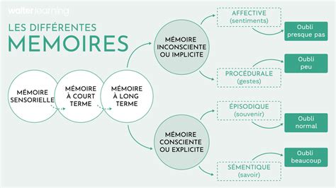 Schéma illustrant les différents types d'axes de roues Fulcrum