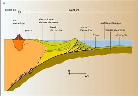 Schéma d'une zone de trial avec obstacles naturels et artificiels