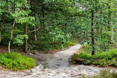 VTTiste traversant un chemin forestier typique des Weppes