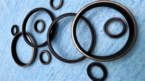 Détail des joints racleurs et des anneaux en mousse dans un fourreau de fourche