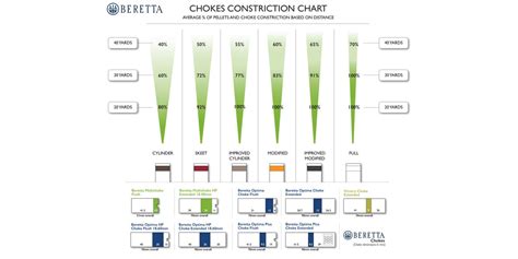 Infographie expliquant les différents types de chokes et leur impact sur la gerbe de plombs.