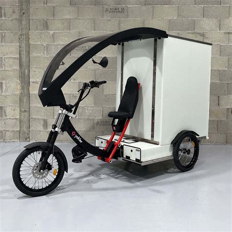 Triporteur professionnel utilisé pour la livraison de colis.
