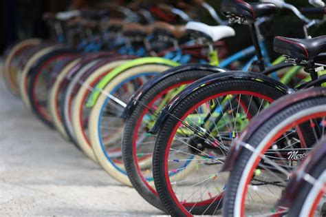 Une sélection de vélos Marin de différents modèles, mettant en avant leur design et leur polyvalence.