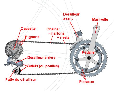 Schéma d'un dérailleur arrière Campagnolo avec ses différentes parties.