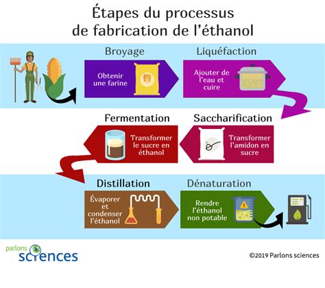 Schéma simplifié du processus de production du bioéthanol à partir de plantes