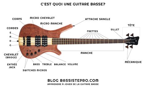 Schéma d'une basse électrique avec ses composants principaux : manche, frettes, corps, micros, potentiomètres, chevalet.