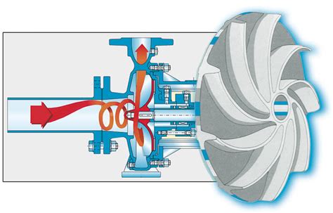 Schéma expliquant le principe de fonctionnement des plateaux ovalisés Rotor Qrings par rapport aux plateaux ronds traditionnels.