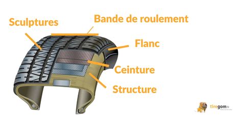 Infographie comparant les structures de pneus Bias-Belted, Diagonale et Radiale avec leurs avantages.