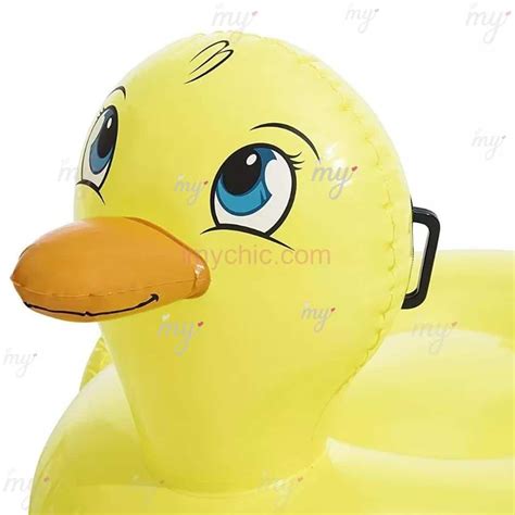 Diverses affiches thématiques : ski, surf, palmiers, bouée canard, skateboard