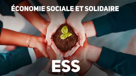 Infographie sur les principes de l'Économie Sociale et Solidaire
