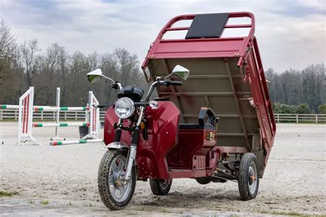 Illustration d'un triporteur électrique transportant des enfants et des courses