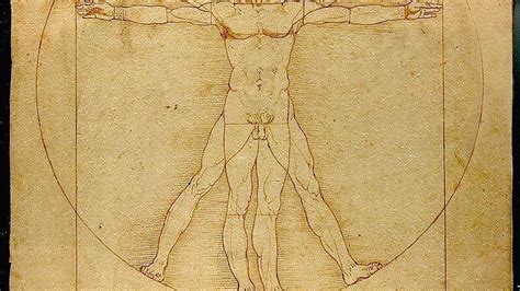 L'Homme de Vitruve de Léonard de Vinci