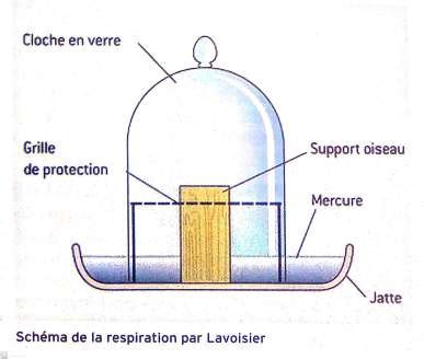 Schéma de la structure du casque Premier Crown Riot avec mise en évidence de la coque en ABS