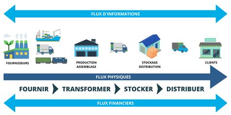 Infographie expliquant le rôle des 