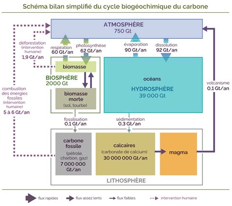 Schéma illustrant la technologie Arrow d'Elan avec la plaque carbone et la couche de titane en forme de flèche.