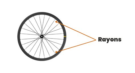 Schéma des rayons d'une roue de vélo