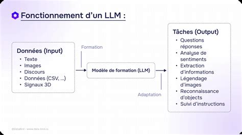 Schéma illustrant les différentes options de personnalisation des vélos vanRaam pour s'adapter aux handicaps.