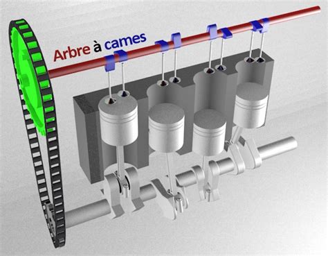 Schéma expliquant le calage des arbres à cames avec repères de poulie.