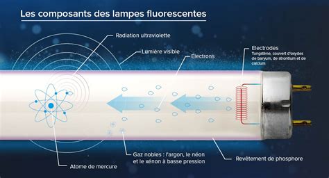 Schéma expliquant comment les couleurs fluorescentes captent et renvoient la lumière pour une meilleure visibilité