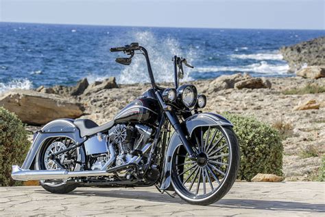 Softail Chicano Style par Rick's Motorcycles